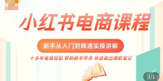 小红书电商新手入门到精通实操课,从入门到精通做爆款笔记,开店运营-天行资源库