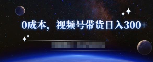 零基础视频号带货赚钱项目，0成本0门槛轻松日入300+【视频教程】￼-天行资源库
