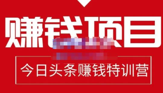 懒人领域·今日头条项目玩法,头条中视频项目,单号收益在50—500可批量-天行资源库