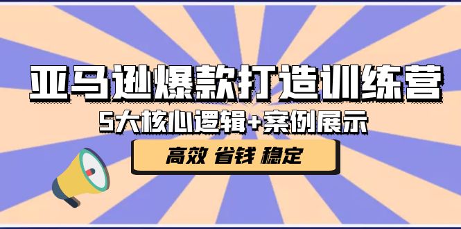 亚马逊爆款打造训练营：5大核心逻辑+案例展示 打造爆款链接 高效 省钱 稳定-天行资源库