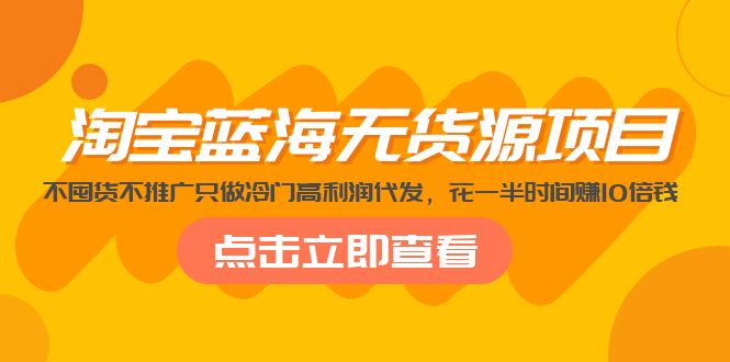 淘宝蓝海无货源项目，不囤货不推广只做冷门高利润代发，花一半时间赚10倍钱-天行资源库