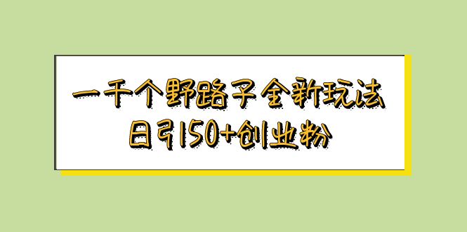 一千个野路子全新玩法 日引50+创业粉-天行资源库