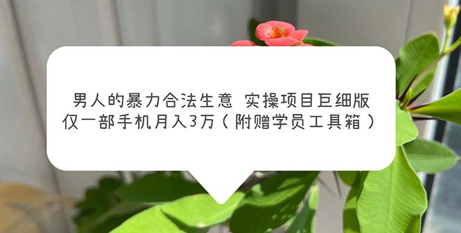 男人的暴力合法生意实操项目巨细版:仅一部手机月入3w(附赠学员工具箱)-天行资源库
