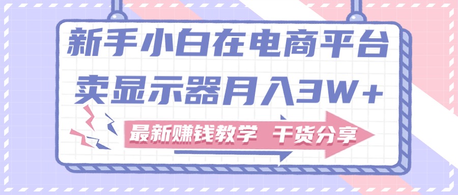新手小白如何做到在电商平台卖显示器月入3W,最新赚钱教学干货-天行资源库