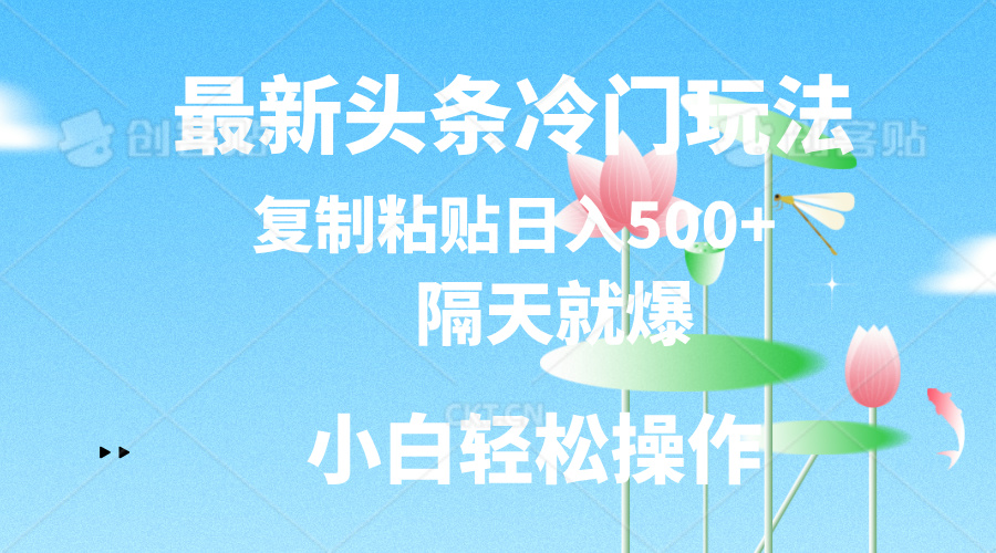 最新头条冷门玩法,隔天就爆,复制粘贴日入500+-天行资源库