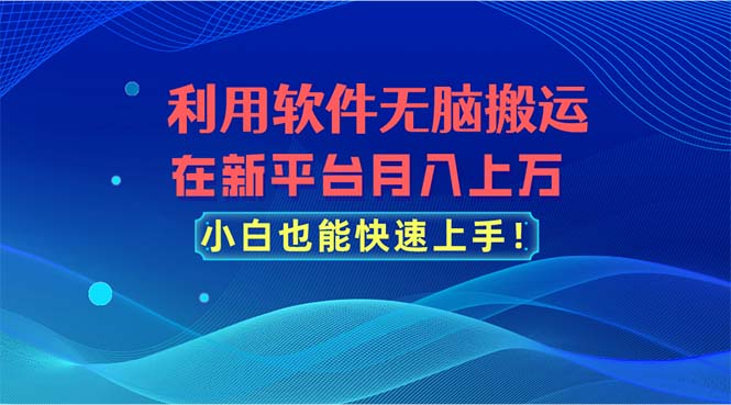 利用软件无脑搬运,在新平台月入上万,小白也能快速上手-天行资源库