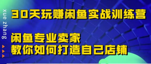 30天玩赚闲鱼实战训练营，闲鱼专业卖家教你如何打造自己店铺￼-天行资源库
