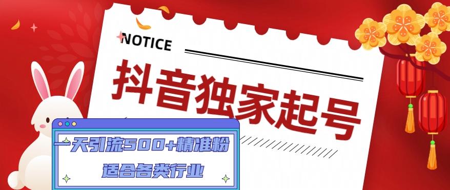 抖音独家起号，一天引流500+精准粉，适合各类行业（9节视频课）-天行资源库