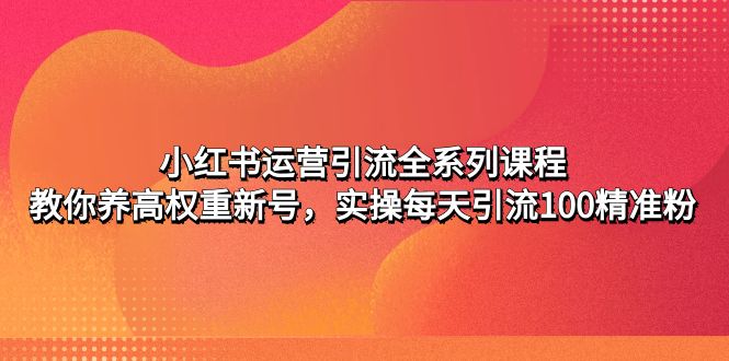 小红书运营引流全系列课程：教你养高权重新号，实操每天引流100精准粉-天行资源库