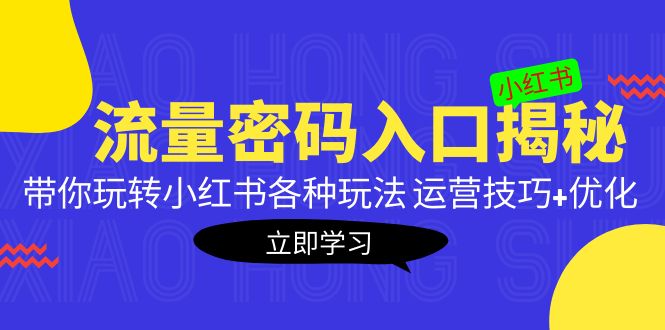 小红书流量密码入口揭秘：带你玩转小红书各种玩法 运营技巧+优化！-天行资源库