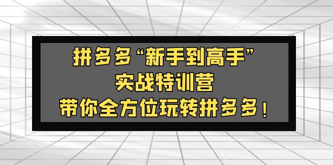 拼多多“新手到高手”实战特训营:带你全方位玩转拼多多!-天行资源库