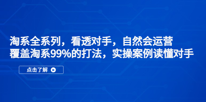 淘系全系列,看透对手,自然会运营,覆盖淘系99%·打法,实操案例读懂对手-天行资源库