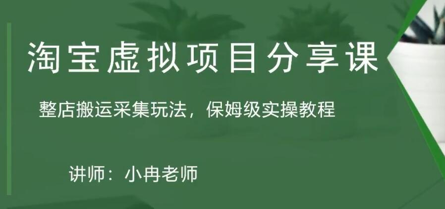 淘宝虚拟整店搬运采集玩法分享课：整店搬运采集玩法，保姆级实操教程-天行资源库