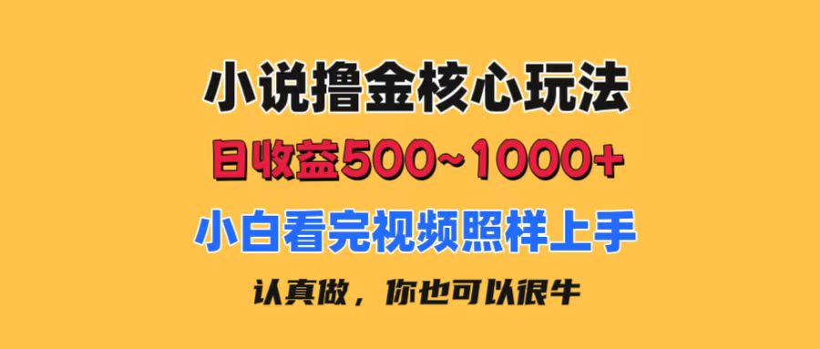 小说撸金核心玩法,日收益500-1000+,小白看完照样上手,0成本有手就行-天行资源库