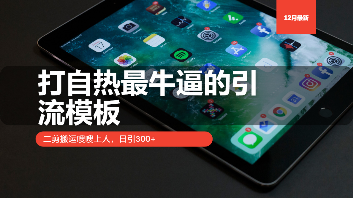 打自热最牛逼的引流模板,日引300+,二剪搬运嗖嗖上人-天行资源库