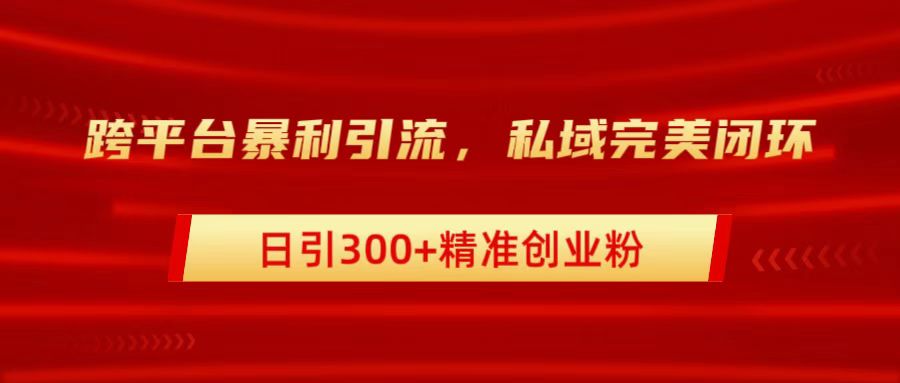 跨平台暴力引流,私域完美闭环,日引300+精准创业粉-天行资源库