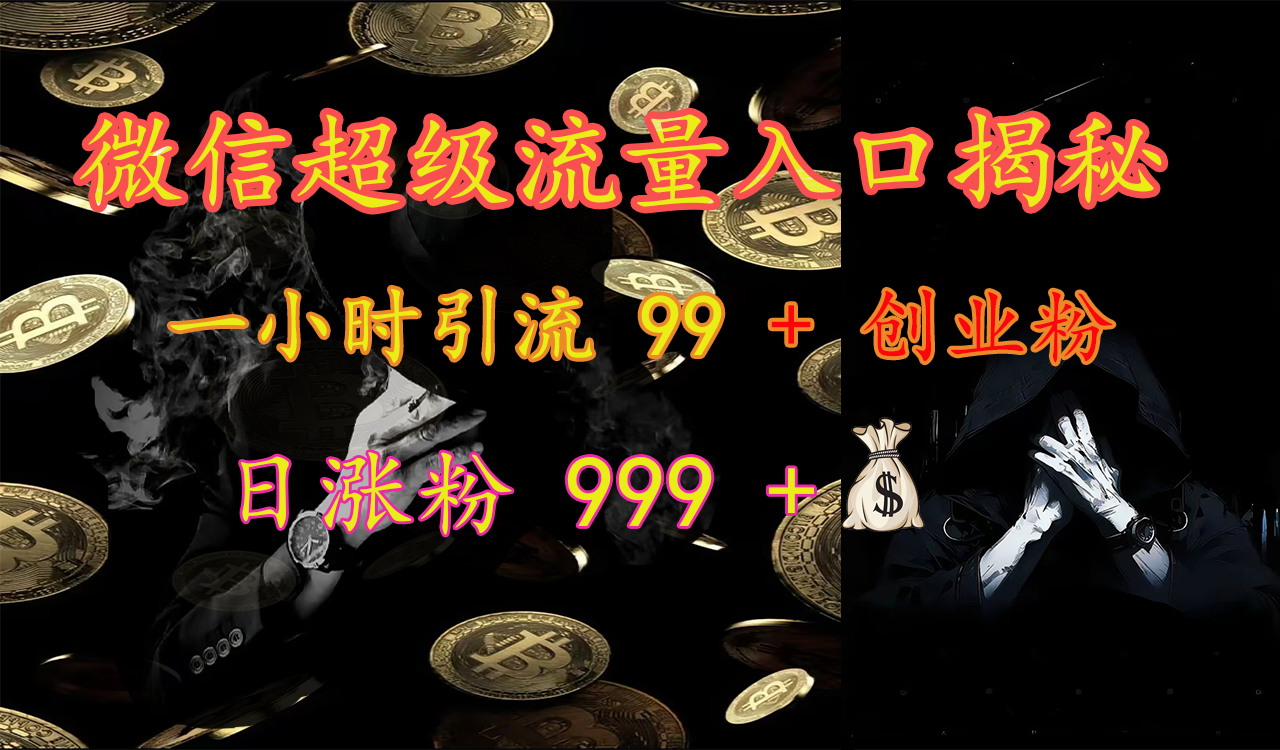 微信超级流量入口揭秘:一小时引流 99 + 创业粉,日涨粉 999 +【揭秘】-天行资源库