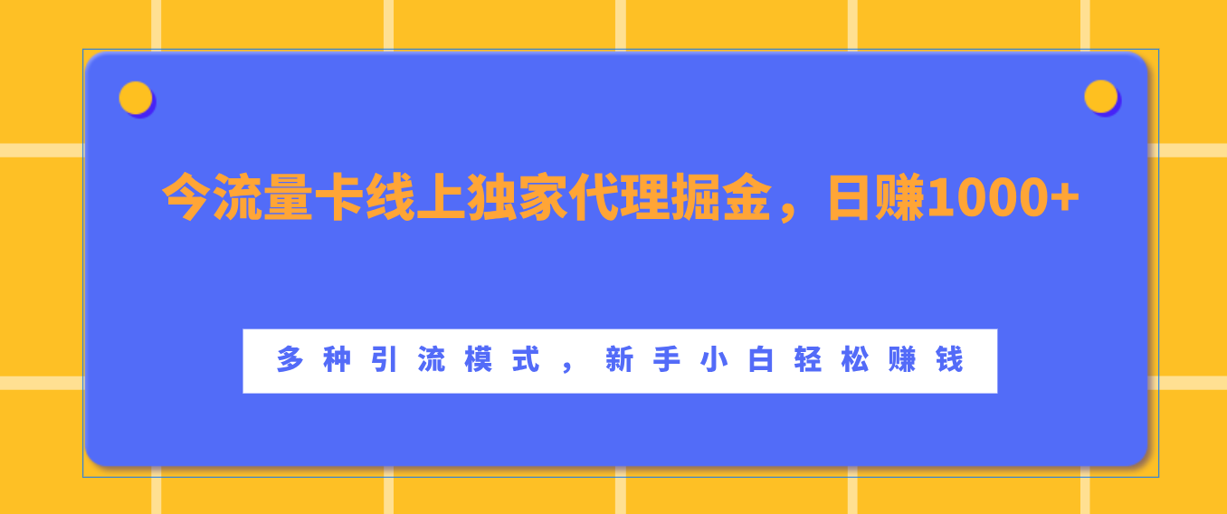 流量卡线上独家代理掘金,日赚1000+ ,多种引流模式,新手小白轻松赚钱-天行资源库