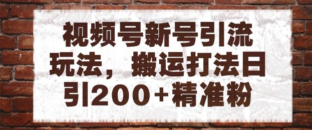 视频号新号引流玩法,搬运打法日引200+精准粉,可矩阵放大【揭秘】-天行资源库