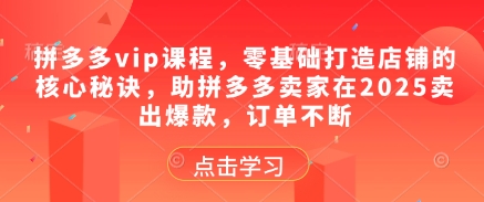 拼多多vip课程,零基础打造店铺的核心秘诀,助拼多多卖家在2025卖出爆款,订单不断-天行资源库