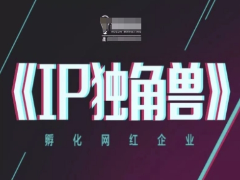 IP独角兽,孵化网红企业,ip教程-天行资源库