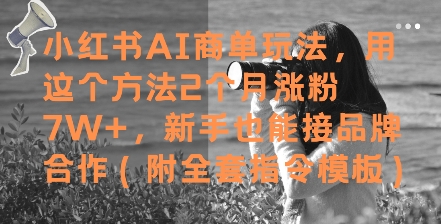 小红书AI商单玩法,用这个方法2个月涨粉7W+,新手也能接品牌合作(附全套指令模板)-天行资源库
