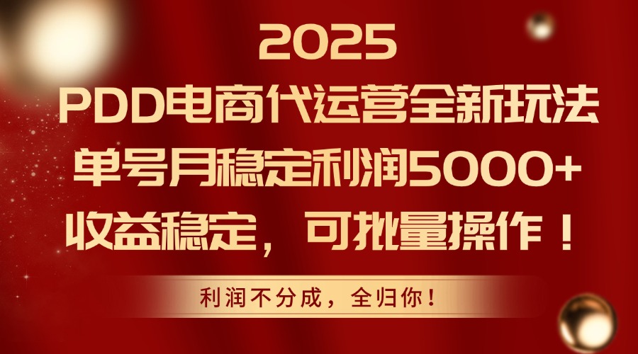 2025PDD电商代运营全新玩法,单号月稳定利润5000+,收益稳定,可批量操作-天行资源库