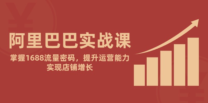 阿里巴巴实战课:掌握1688流量密码,提升运营能力,实现店铺增长-天行资源库