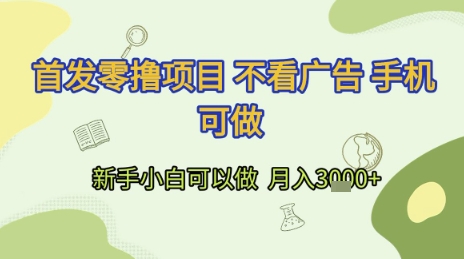 首发零撸项目 不看广告 手机可做 新手小白可以做 月入3k+【揭秘】-天行资源库