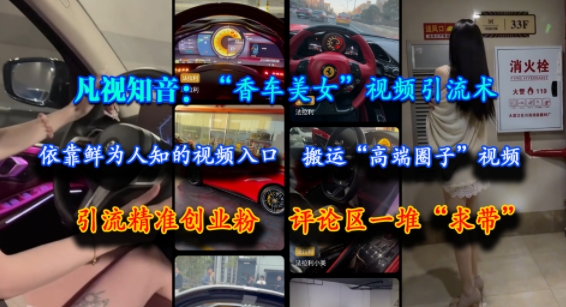 凡视知音:“香车美女”视频引流术,依靠鲜为人知的视频入口,搬运“高端圈子”视频,引流精准创业粉,评论区一堆“求带”-天行资源库