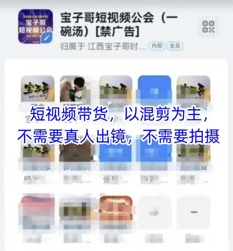 宝子哥头部团队短视频带货,以混剪为主,不需要真人出镜,不需要拍摄【更新6月】-天行资源库