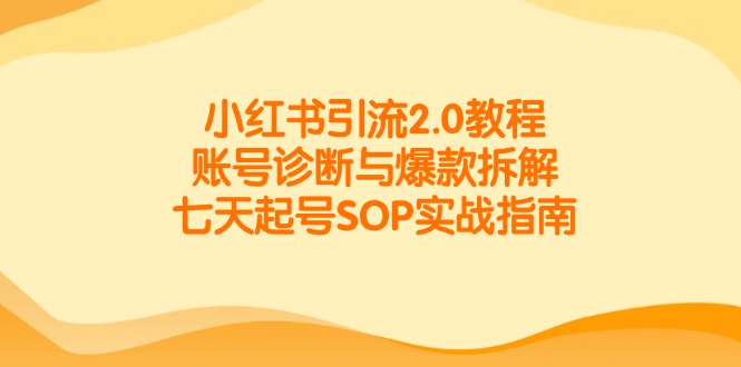 小红书引流2.0教程,账号诊断与爆款拆解,七天起号SOP实战指南-天行资源库