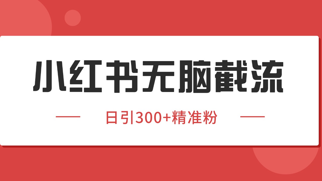 小红书截流同行客源,独家野路子获客玩法 日引200+暴力获客-天行资源库