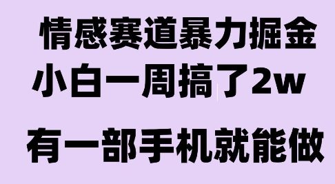 情感暴力掘金项目,新人操作一周挣了2W,长期稳定小白可做【揭秘】-天行资源库