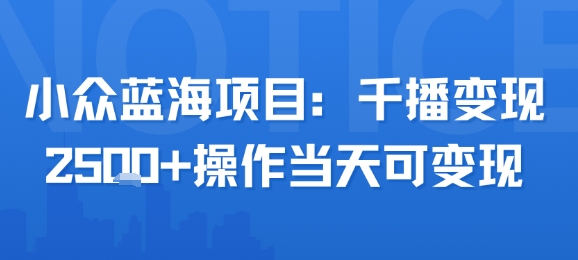 小众蓝海项目,千播变现2.5k+操作当天可变现-天行资源库