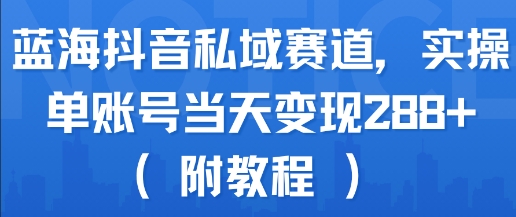 蓝海抖音私域赛道,实操单账号当天变现288+(附教程)-天行资源库