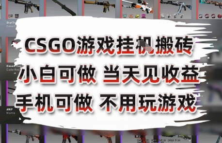 CSGO游戏挂G搬砖,小白纯手机即可操作,不用电脑打游戏,日入3张+,副业网创项目【揭秘】-天行资源库
