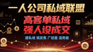 一人公司私域联盟,高客单私域,强人设成交,建私域 搞发售 广结盟 造势能-天行资源库