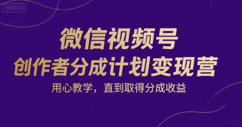 微信视频号创作者分成计划变现营，用心教学，直到取得分成收益-天行资源库