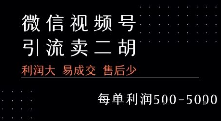 视频号卖二胡教程,利润大 易成交 售后少,一单利润5张+-天行资源库