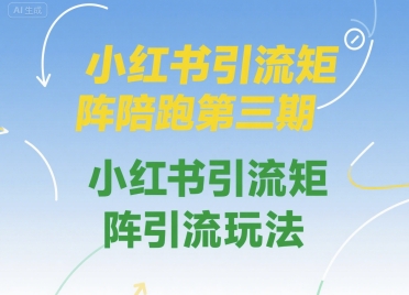 小红书引流矩阵陪跑第三期,小红书引流矩阵引流玩法-天行资源库