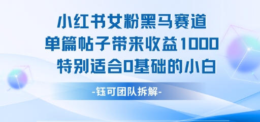 小红书女粉黑马赛道单篇帖子带来收益1k+，特别适合0基础的小白-天行资源库