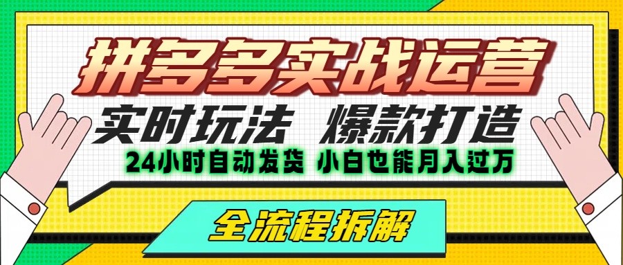 拼多多最新实战运营高投产:长久稳定项目,单店利润一天三位数-天行资源库