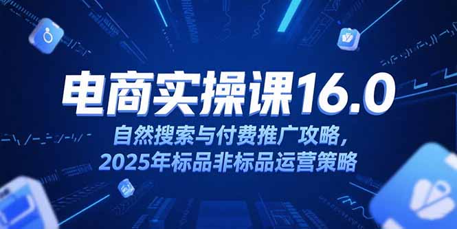 淘宝电商运营课16.0，自然搜索与付费推广攻略，2025年标品非标品运营策略-天行资源库