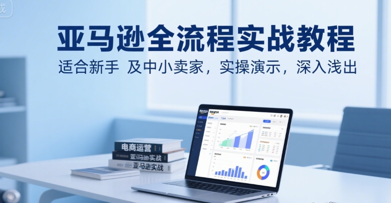 亚马逊全流程实战教程,适合新手及中小卖家,实操演示,深入浅出-天行资源库