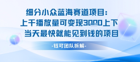 小众蓝海赛道项目:当天变现1k+适合新手操作 +适合长期玩-天行资源库