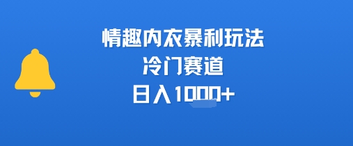 情趣内衣暴利玩法,冷门赛道,日入1k+-天行资源库