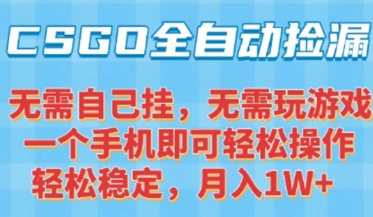 CSGO自动捡漏项目，最新独家玩法，一个手机可操作，新手小白轻松月入1W+，操作简单易上手【揭秘】-天行资源库