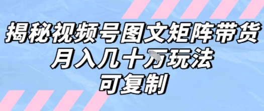 解密视频号图文矩阵带货,月入几个W的打法,可复制-天行资源库