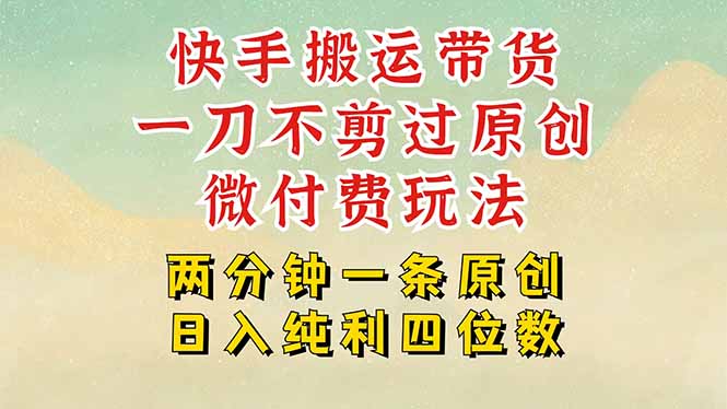 快手黑科技搬运带货,一刀不剪过原创,微付费投流玩法,轻松日入四位数…-天行资源库